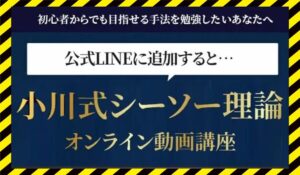 小川式シーソー理論丨小川久男(株式会社レザリューション)に<span class="sc_marker">登録して実態を調査しました!</span>その結果…<font color="#ff3333">危険な悪質事業者</font>と判明。